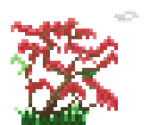palash_tree.gif