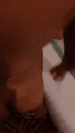 1exkkkb60g2.mp4