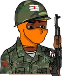 v09olp13pir.png