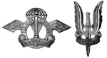 Indian_Parachute_Regiment_Insignia_and_PARA_(SF)_Battalion_Insignia.jpg