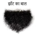 jhaant ka baal.jpg jhaant ka baal.jpg