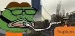 v2h0jgxnn3i.jpg