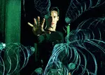 200w.gif