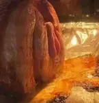 pktalezjpr7.jpg pktalezjpr7.jpg