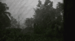 document_6055429778805101419.mp4