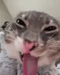rigby-freaky.gif