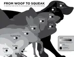 10_Most_Popular_American_Pets.jpg