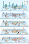Marine_Diversity.jpg