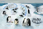 Penguins_March.jpg