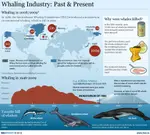 Whaling_Industry.jpg
