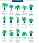 FilteringPlants.jpg