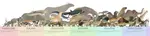 e621.net 1659606 accipitrid accipitriform aegyptopithecus aepycamelus african_el.jpg
