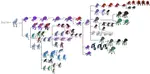 Hoppa & Boomer evo chart.jpg