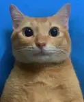 1696513597630614.jpg