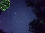 1759190108878_7995.jpg