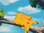 wl1qjjkc7p.gif